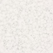 Miyuki delica beads 11/0 - Opaque white DB-200 